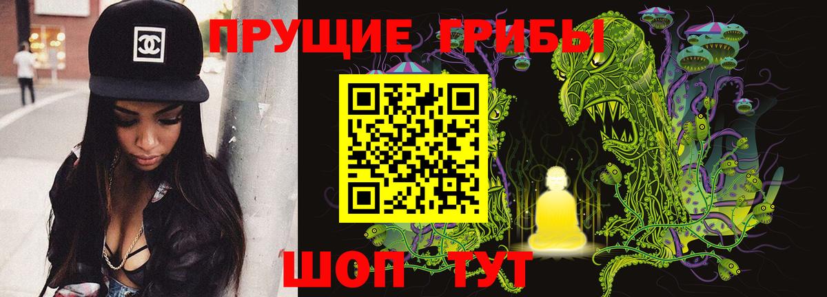 Псилоцибиновые грибы Psilocybine cubensis Видное
