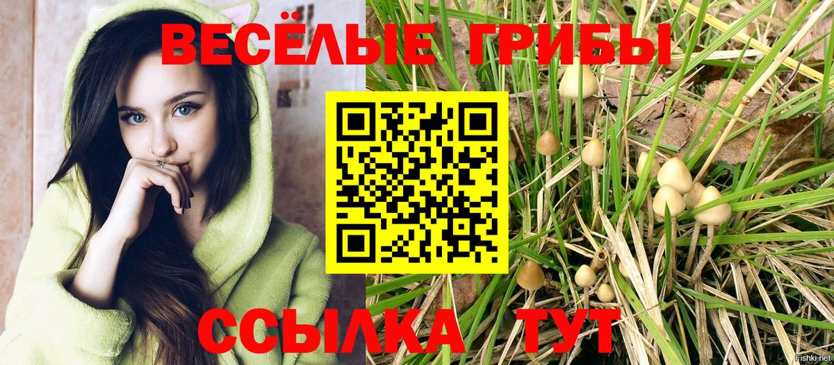 Видное  Cocaine  Меф МЯУ МЯУ   Меф МЯУ МЯУ  Гашиш  Вход с VPN  Канабис 